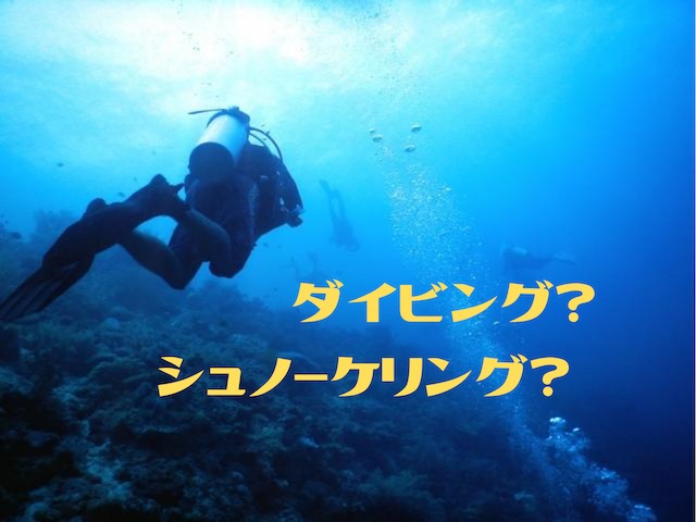 【宮古島】ダイビングとシュノーケリング、どっちがおすすめ？