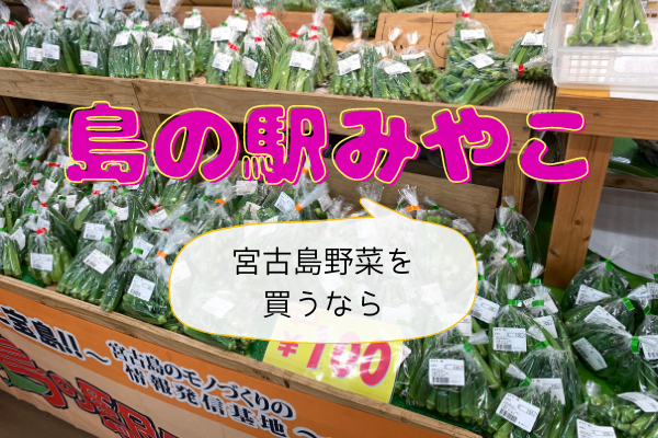 お土産だけじゃない 野菜を買うなら島の駅みやこがオススメ 宮古島walker